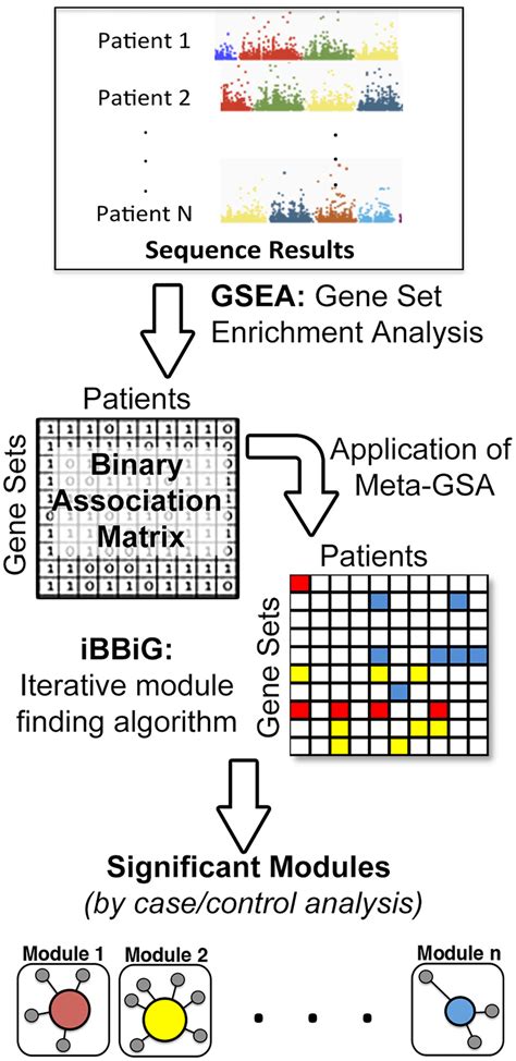 Meta Analysis And Analytical Pipeline The Genes Harboring Variants In