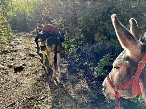 Autunno Giro In Italia E Trekking Con Gli Asini Alessandro