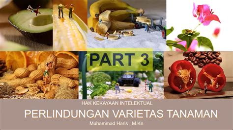 Kuliah Hak Kekayaan Intelektual Perlindungan Varietas Tanaman Part