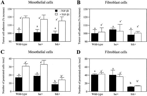 Transforming Growth Factor β1 Produced By Ovarian Cancer Cell Line Hra