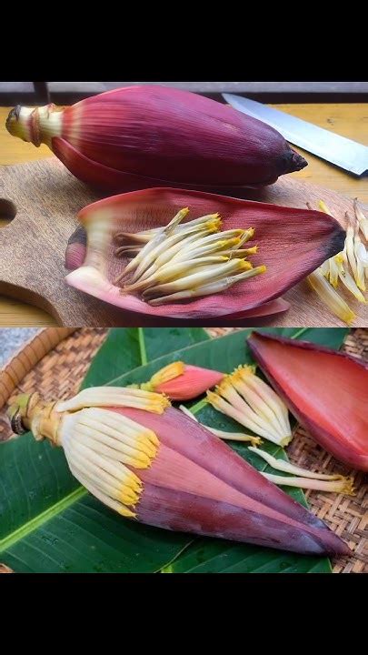 Banana Flower Recipe Bananaflowerrecipe Used In The Treatment Of Diabetics Breast Cancer