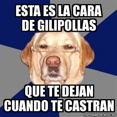 Meme Perro Racista ESta Es La Cara De Gilipollas Que Te Dejan Cuando