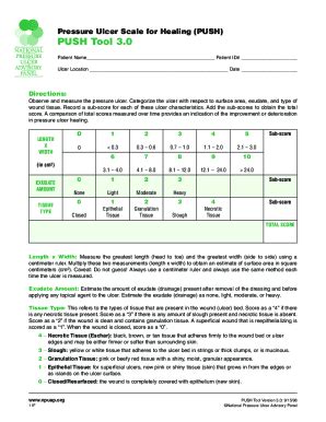 Fillable Online Pressure Ulcer Scale For Healing PUSH PUSH Tool 3 0