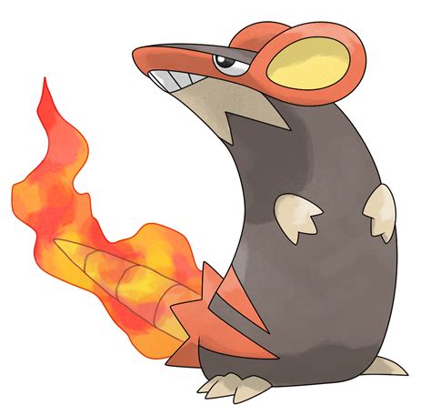 Ratiflamme Wikia Pokémon Opale Fandom