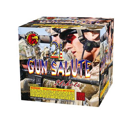 21 GUN SALUTE 21SHOTS - Twin Fire Works