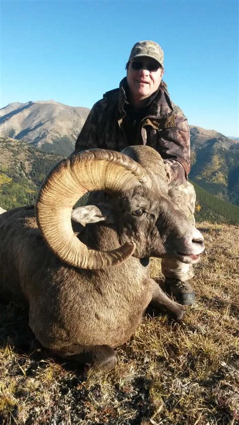 Bighorn Sheep Hunting Guides - Horn Fork Guides