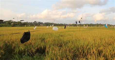 Kades Bukit Pariaman Harap Aktivitas Pertambangan Tidak Merusak Lahan