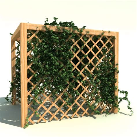 Garden Pergola With Ivy 3d Model 38 3ds C4d Lwo Max Ma Obj