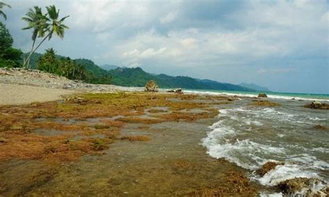 Wisata Pantai Di Lampung Favorit Dikujungi Para Wisatawan Places To