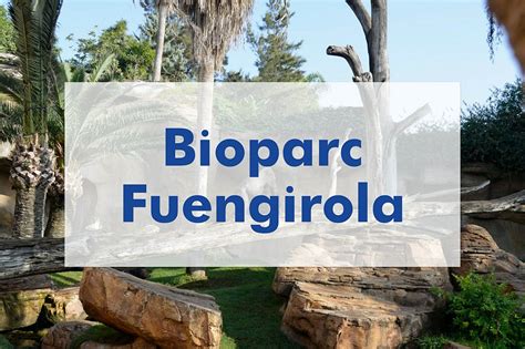 Bioparc Fuengirola C Mo Llegar Horarios Precios Y Recomendaciones