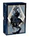 Elder Scrolls V Skyrim Tarot Deck And Guidebook Walmart