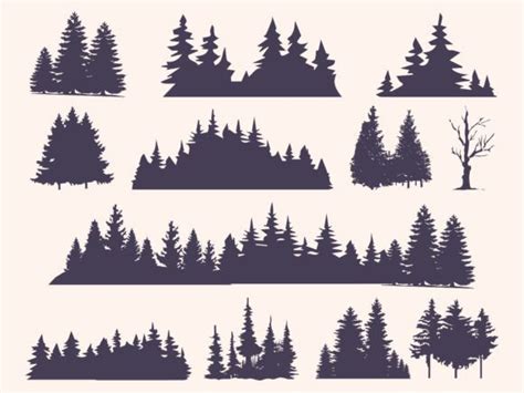 Pine Coniferous Trees Silhouettes Set Graphic By Phoenixvectorart