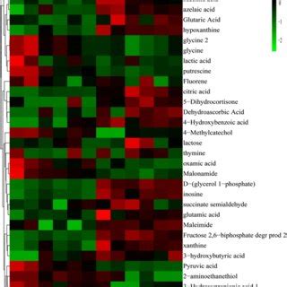 Hierarchical Clustering Analysis Hca And Heat Maps For Different