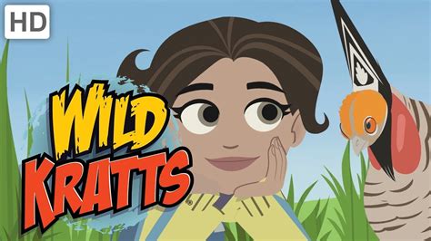 Wild Kratts Calling All Bird Mates Youtube