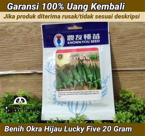 Benih Okra Hijau Lucky Five Known You Seed 20 Gram Lazada Indonesia