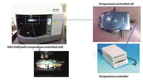 Raman Analysis Of Crystal Polymorph In Pharmaceuticals Jasco