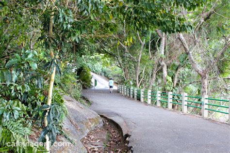 Pista Cl Udio Coutinho No Rio Caminhada Linda Ao Lado Do Morro Da Urca