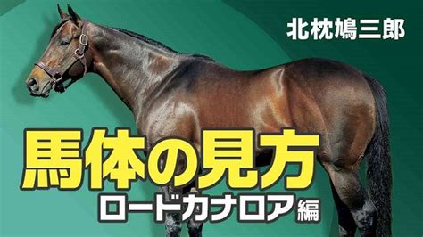 【馬体の見方】ロードカナロア産駒の特徴と注意してチェックするべき点北枕鳩三郎 競馬動画 Netkeiba