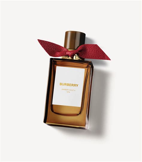 The 9 Best Burberry Perfumes, According to Reviews | Who What Wear