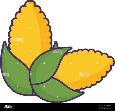 Corns Vegetables Over White Background Colorful Design Vector