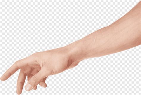 Mano Brazo Concepto Personas Vector Png Brazo Concepto Gente Png Y