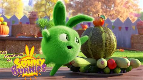 Las Aventuras De Sunny Bunnies Concurso De Comida Dibujos Para