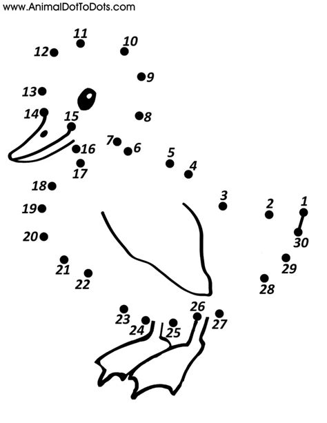 Animal Dot To Dot Printables Printable Word Searches