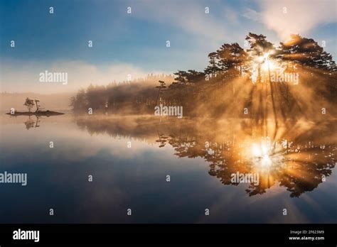 Stunning Sunrise Through Trees And Reflected On Still Lake Stock Photo