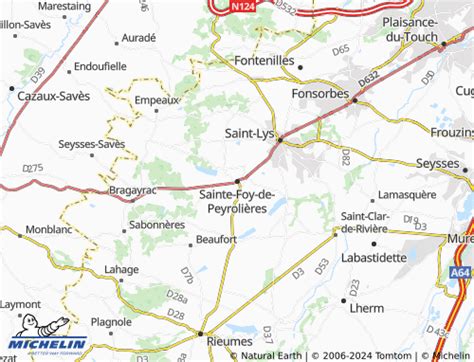 Carte MICHELIN Sainte Foy de Peyrolières ViaMichelin