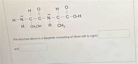 Solved The structure above is a dipeptide consisting of | Chegg.com