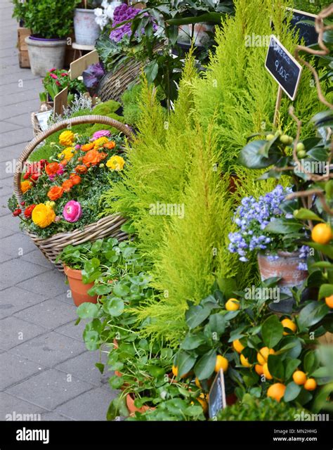 Outdoor Flower Shop Hi Res Stock Photography And Images Alamy