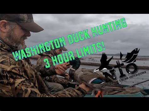 Washington Duck Hunting Hour Limits Youtube