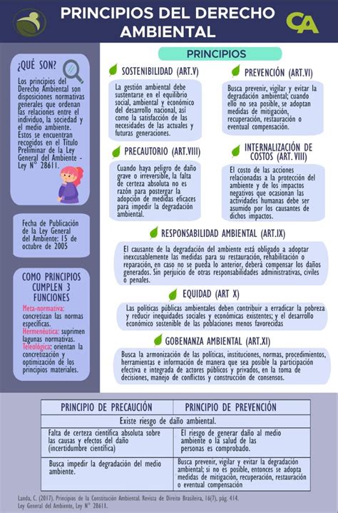 Infograf A Principios Del Derecho Ambiental Conexi N Ambiental