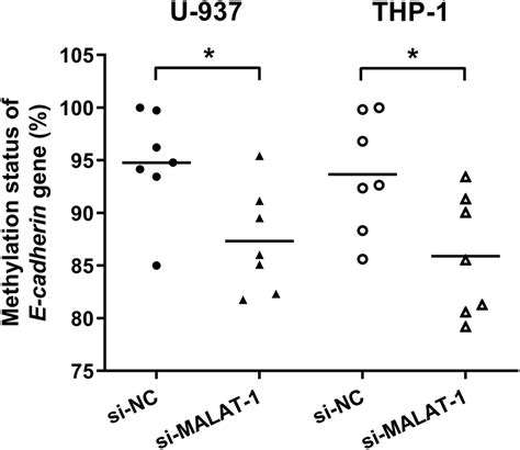 Methylation Status Of Cpg Island In The Promoter Region Of Ecadherin