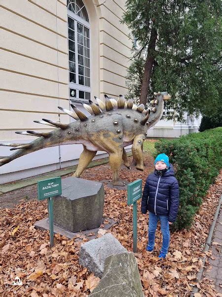 Wycieczki Rodzinne Muzeum Geologiczne W Warszawie