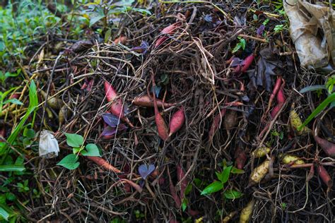 How long does it take to compost in a tumbler?