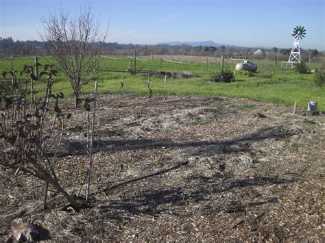 Compost Cricket Corral