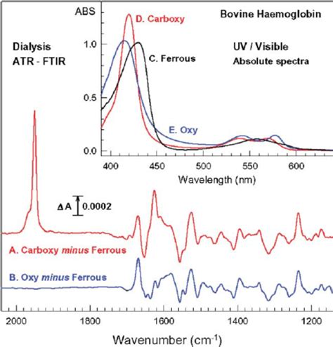 Dialysis Induced Atr Ftir Difference Spectra Of Ligand Binding To