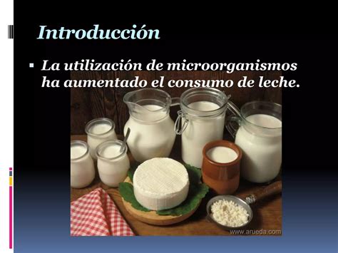 Productos L Cteos Fermentados Ppt