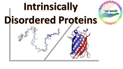 Intrinsically Disordered Proteins Youtube