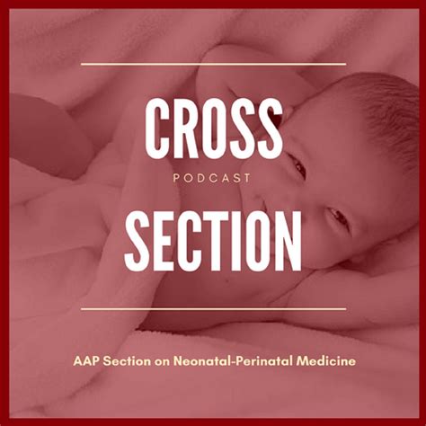Cross Section - October 22 2017 - Advocacy and Early Career