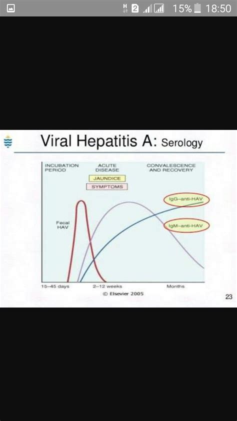 Hepatitis A serology | Hepatitis, Jaundice symptoms, Disease