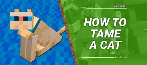 How to Tame a Cat in Minecraft: A Step-by-Step Guide
