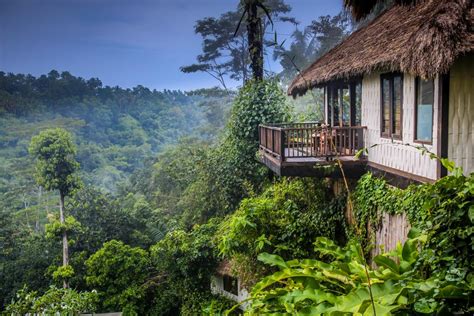 A Hotelier In Bali Turns Jungle Into A Luxury Facility Hotelier Academy