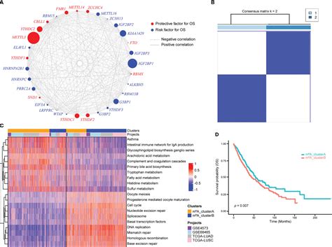 Frontiers M A Regulators Featured By Tumor Immune Microenvironment