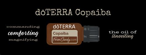 Copaiba - From Sandy