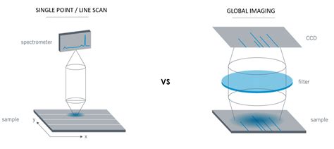 高光譜影像系統│hyperspectral Widefield Imaging│photon Etc 利泓科技 提供解決方案的專家