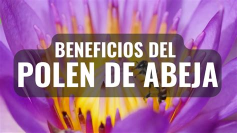 Beneficios Sorprendentes Del Polen De Abeja Para La Salud