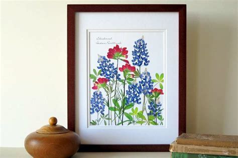 Pressed Flower Print Artwork Bluebonnets Indian Paintbrush Texan