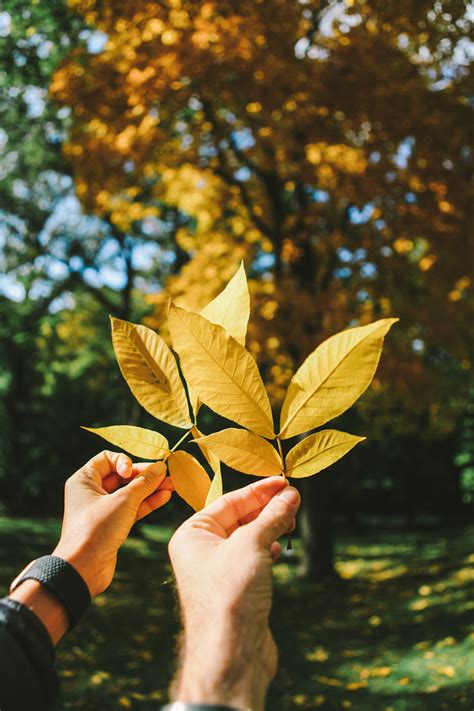 30 INCREDIBLE THINGS TO DO IN SAPPORO [JAPAN]